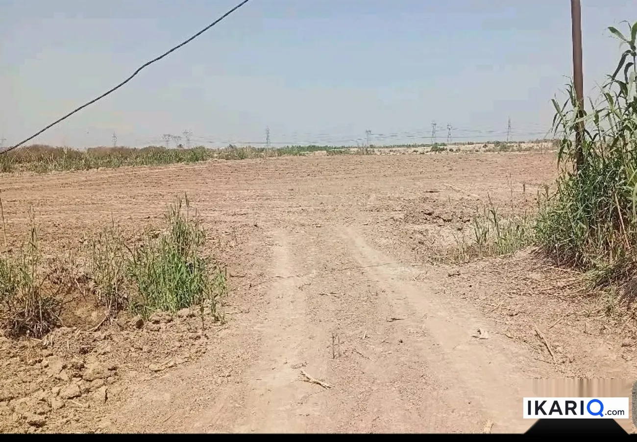 أرض للبيع في المدائن - 27500 م² / 820,000,000 IQD — صورة 6
