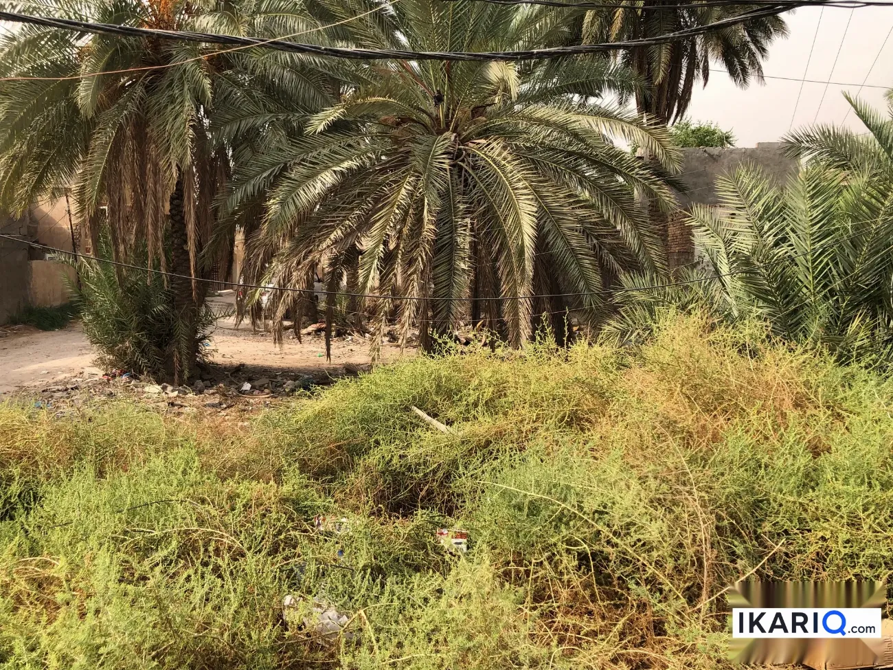 أرض للبيع في كميرة - 280 م² / 80,000,000 IQD — صورة 8