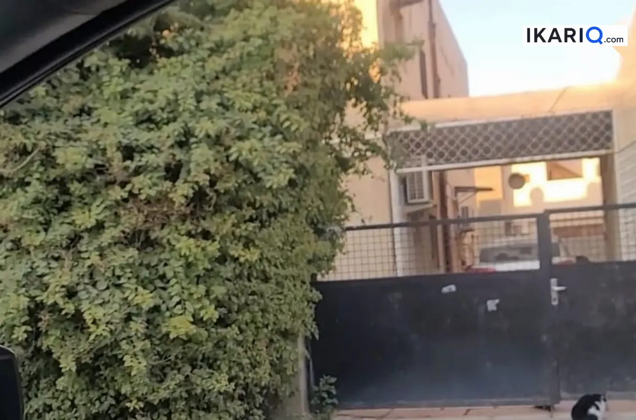 أرض للبيع في اليرموك - 240 م² / 870,000,000 IQD — صورة 6