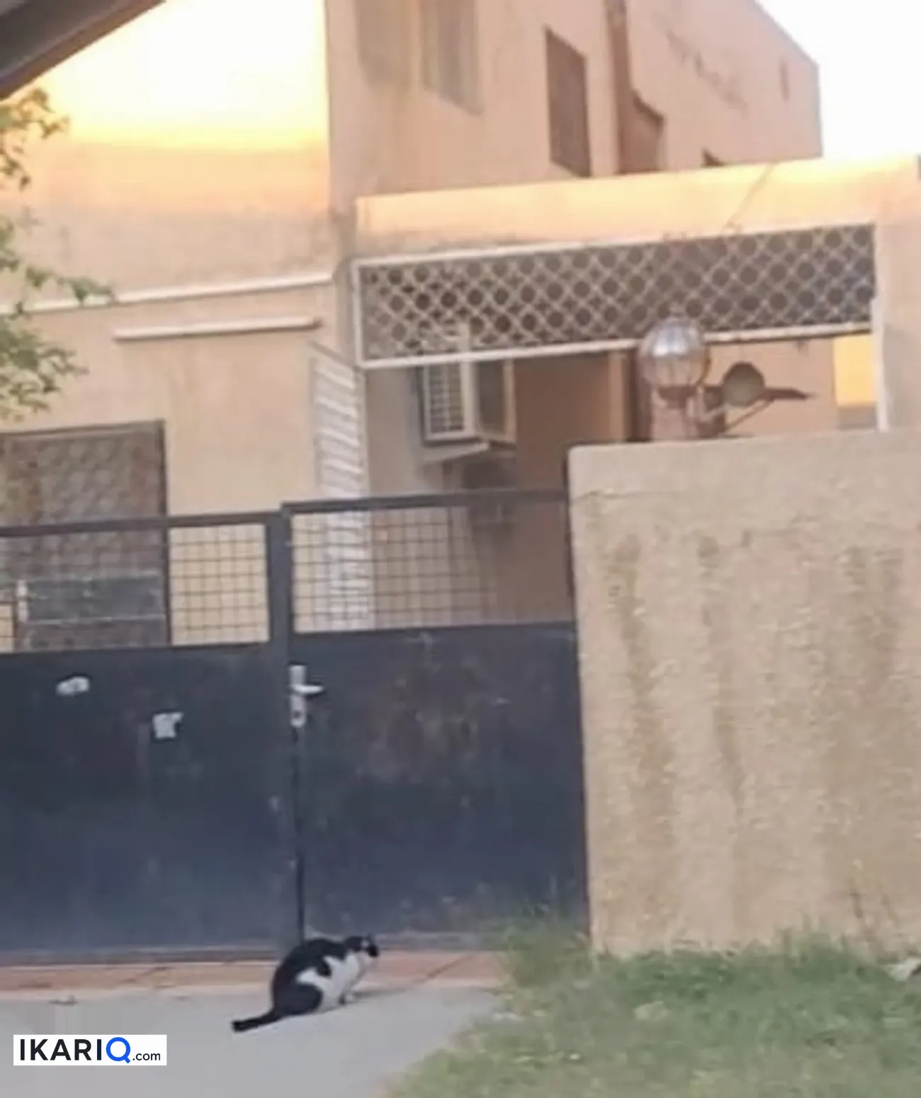 أرض للبيع في اليرموك - 240 م² / 870,000,000 IQD — صورة 5