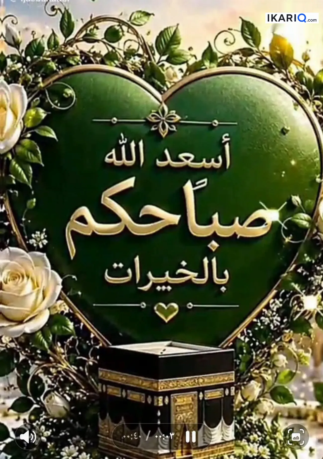 أرض للإيجار في القبلة - 200 م² / 850,000 IQD