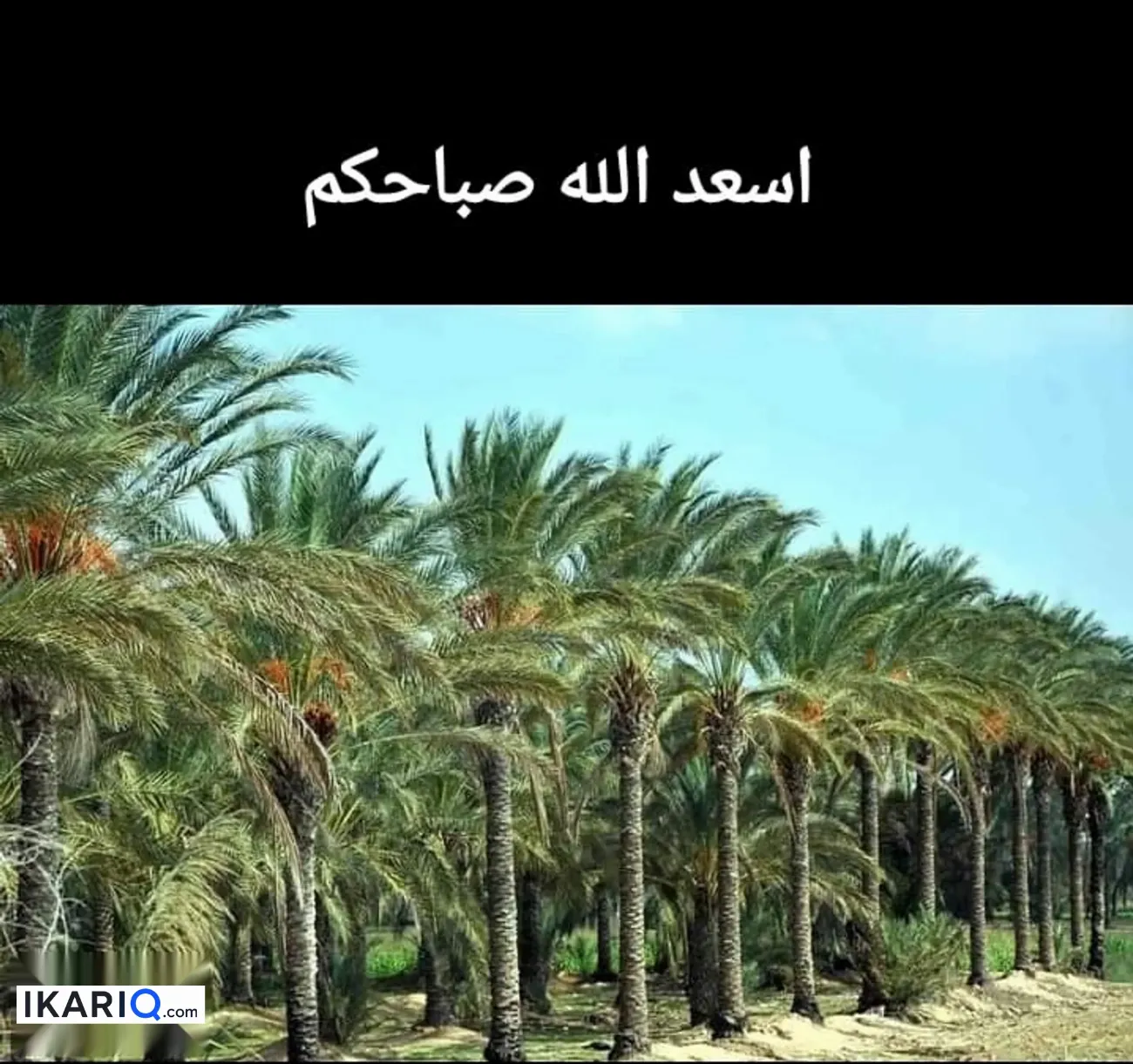 دار للإيجار في الجمهورية - 120 م² / 525,000 IQD