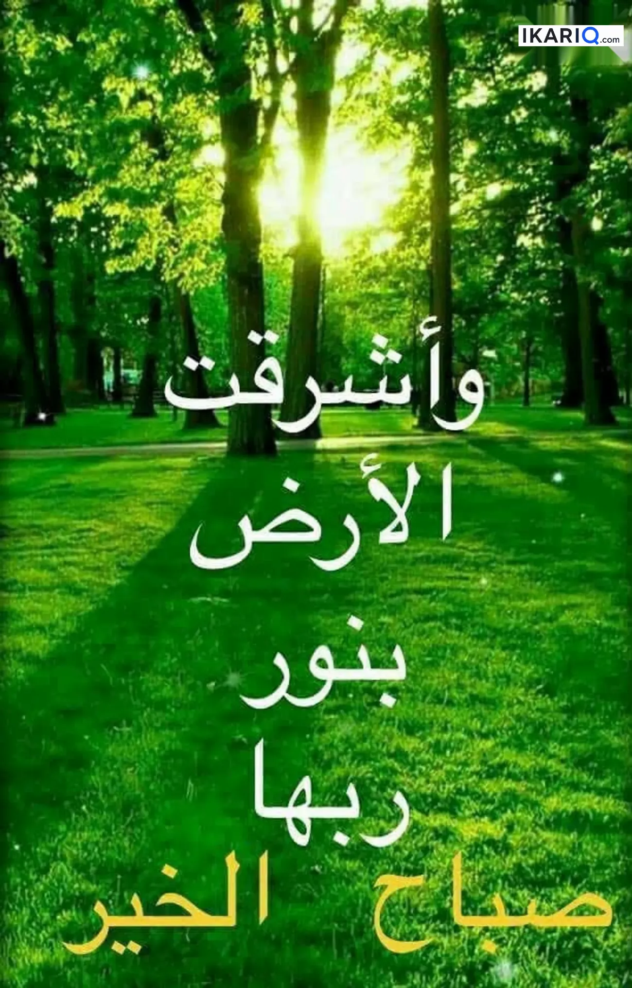 دار للإيجار في الجمهورية - 120 م² / 525,000 IQD — صورة 2