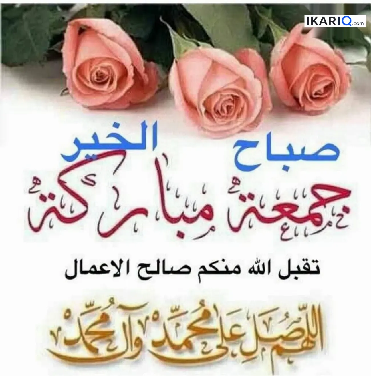 دار للبيع في التنومة - 250 م² / 60,000,000 IQD