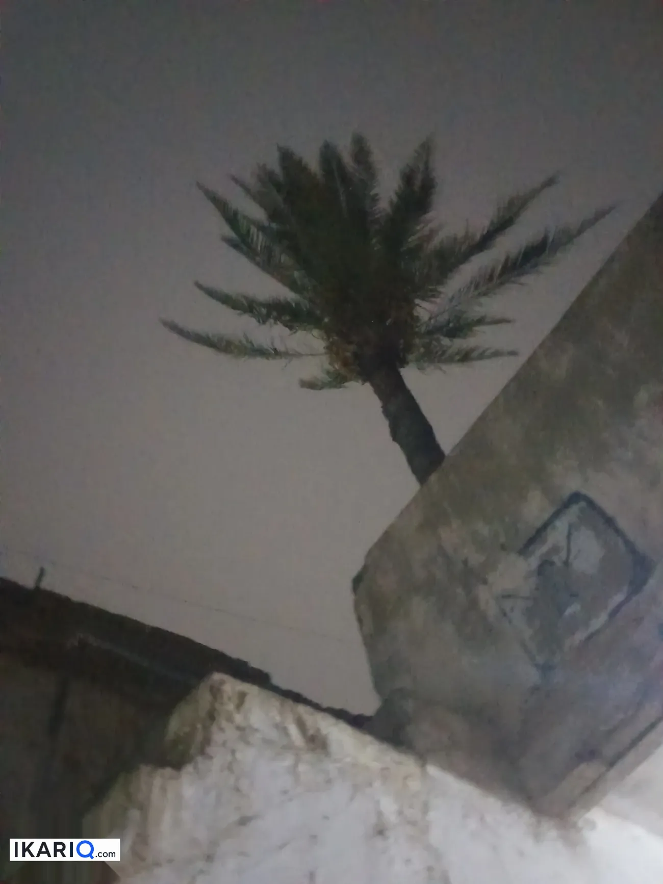 دار للبيع في مدينة الصدر - 144 م² / 165,000,000 IQD — صورة 3