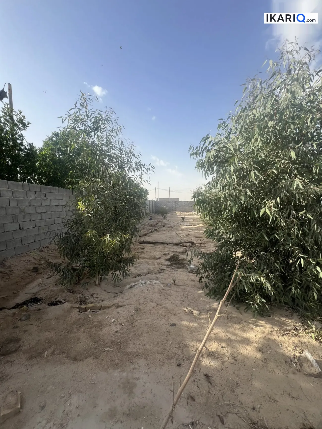 أرض للبيع في الزبير - 1250 م² / 65,000,000 IQD — صورة 7
