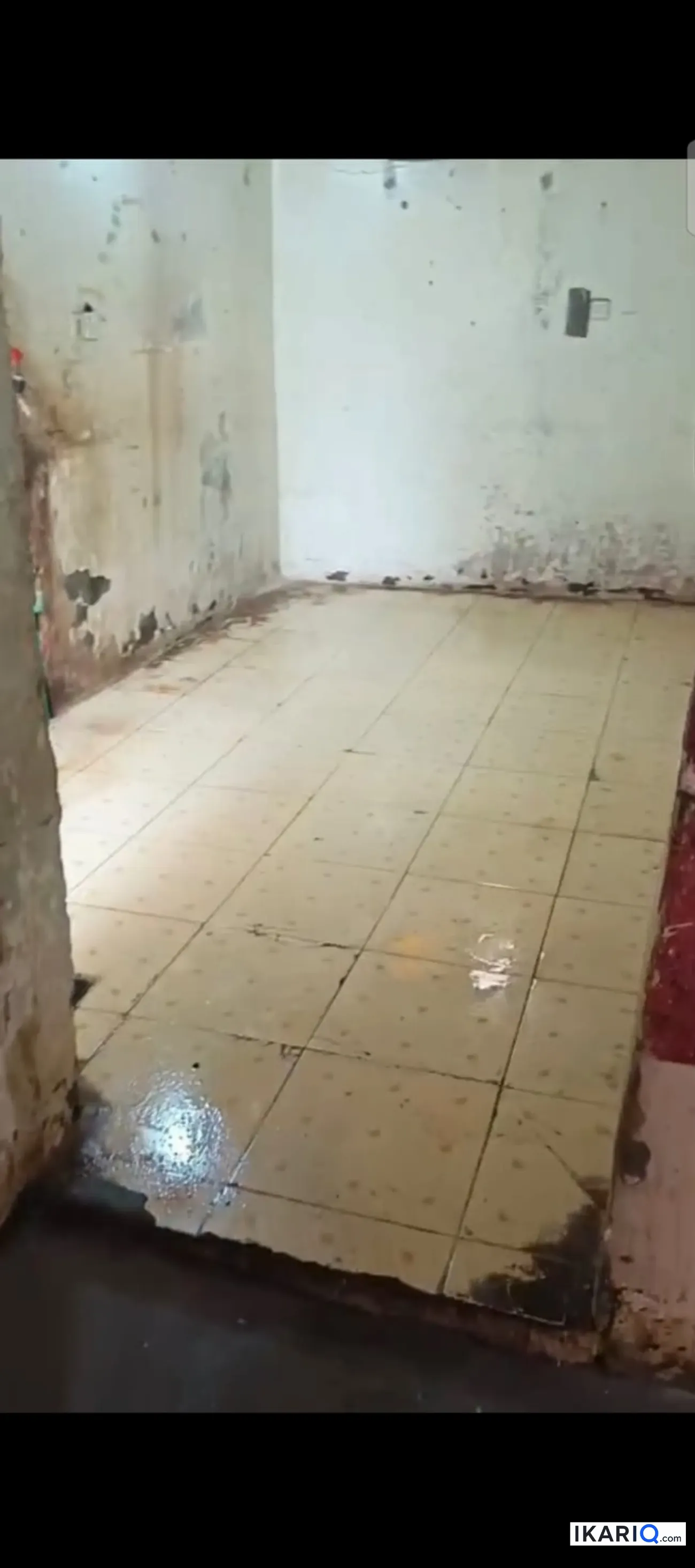 دار للإيجار في المطيحة - 220 م² / 400,000 IQD — صورة 2