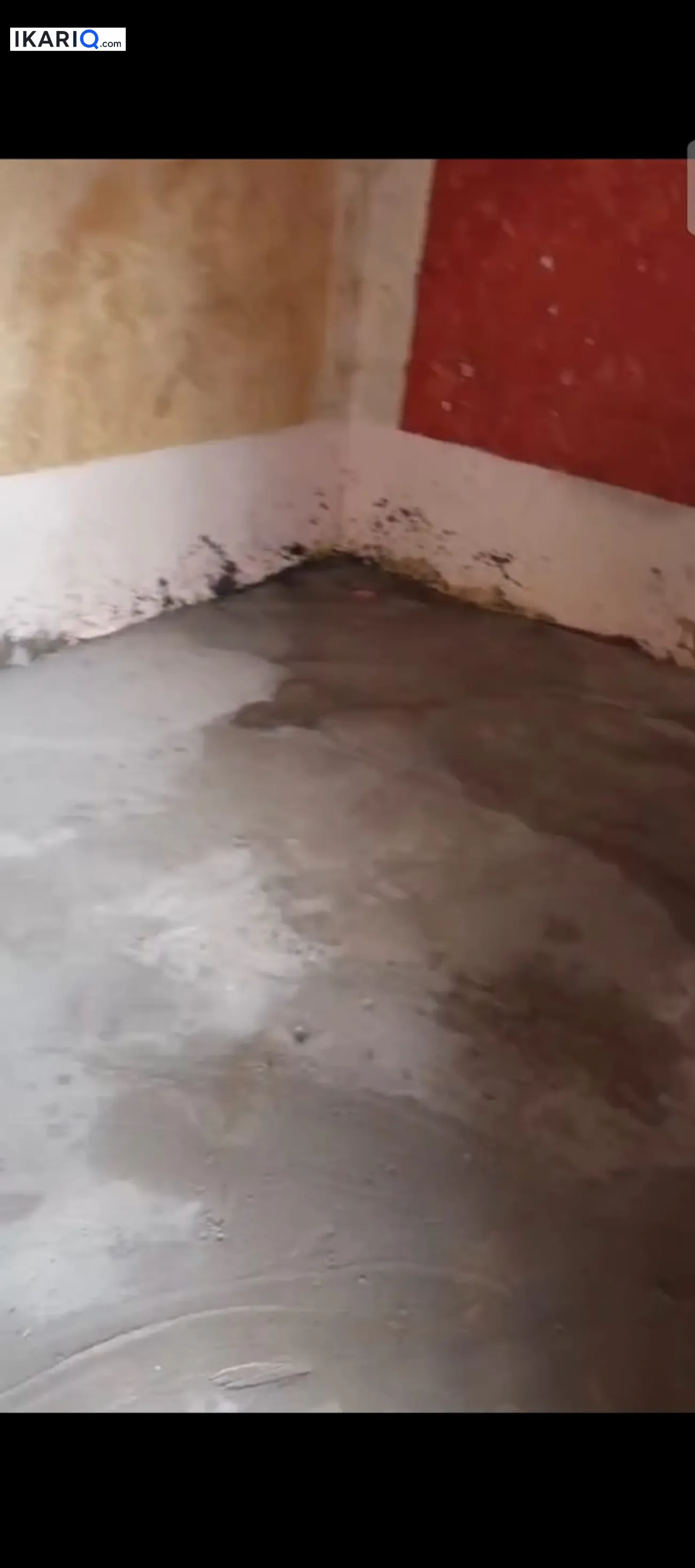 دار للإيجار في المطيحة - 220 م² / 400,000 IQD — صورة 5
