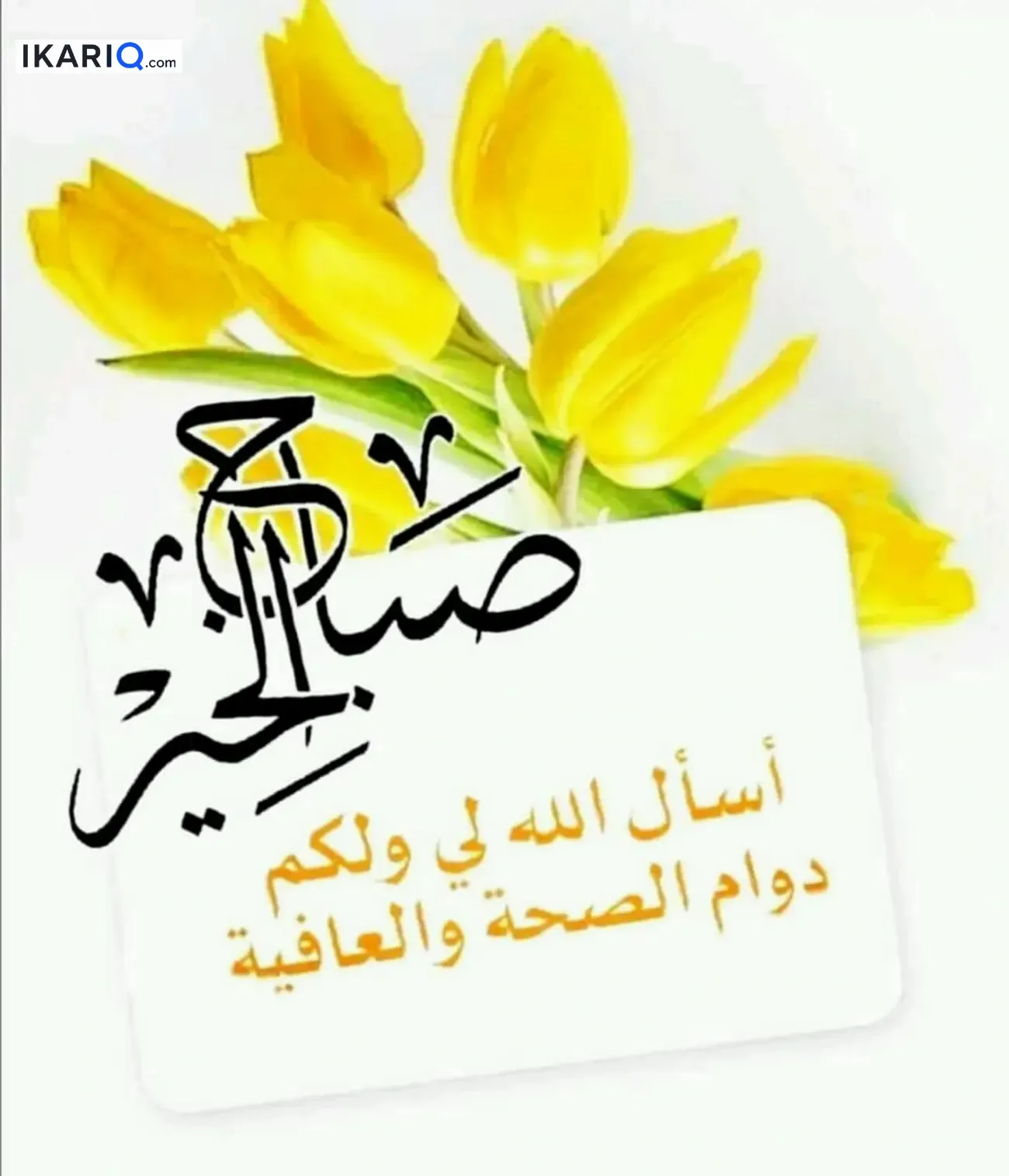 محل للإيجار في اليرموك - 35 م² / 29,000 IQD