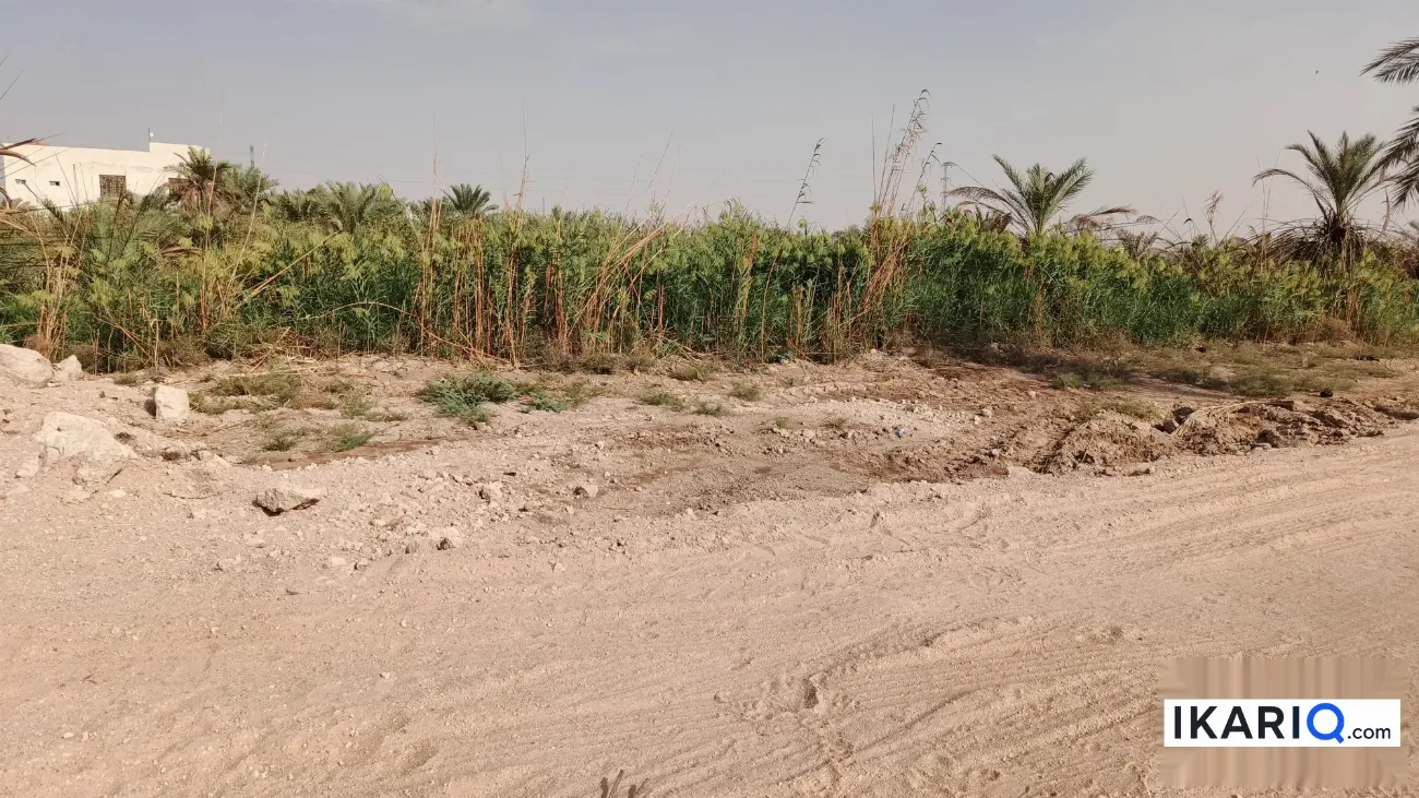 أرض للبيع في قضاء شط العرب - 250 م² / 80,000,000 IQD — صورة 5