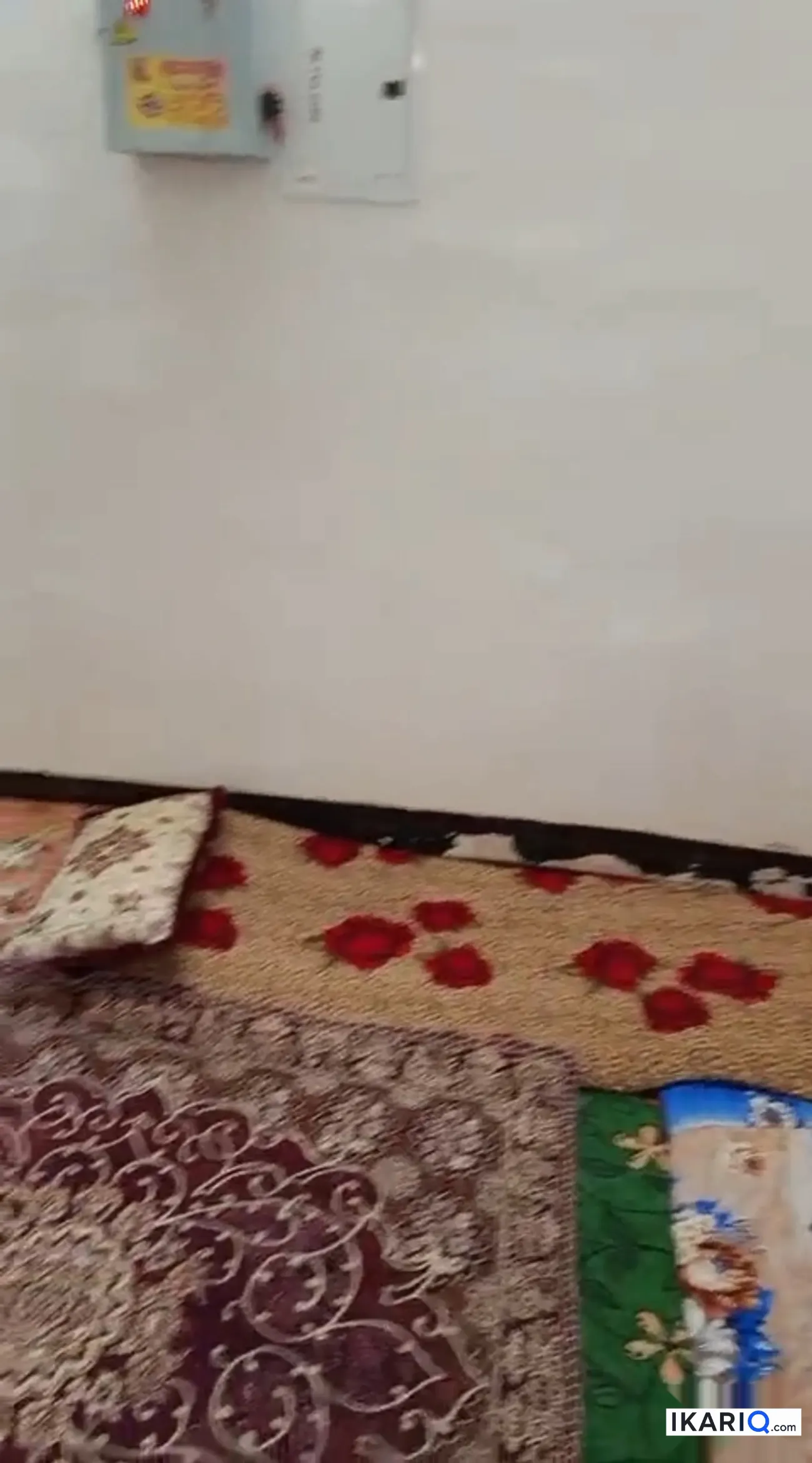 أرض للبيع في الراشدية - 4800 م² / 500,000,000 IQD — صورة 3