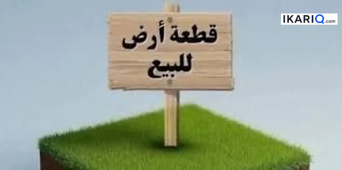 أرض للبيع في قضاء شط العرب - 656 م² / 540,000,000 IQD