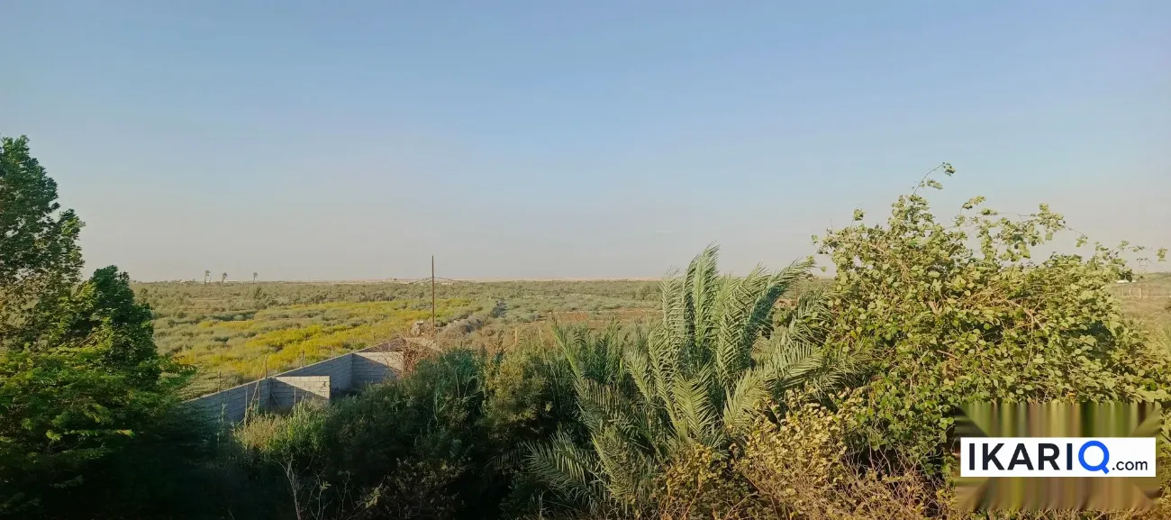 أرض للبيع في النشوة - 250,000,000 IQD — صورة 7
