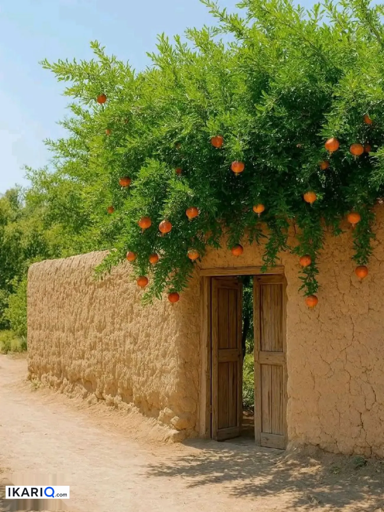 دار للبيع في الشعب - 150 م² / 2,500,000 IQD — صورة 13