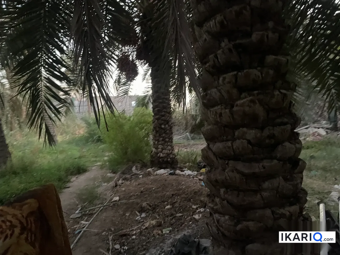 أرض للبيع في السراجي - 1800 م² / 600,000,000 IQD — صورة 6