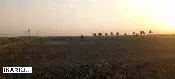 أرض للبيع في اليوسفية - 30000 م² / 25,000,000 IQD — صورة 2