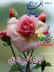 دار للبيع في الميثاق - 225 م² / 20,000,000 IQD — صورة 3
