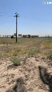 أرض للبيع في المحمودية - 10000 م² / 75,000,000 IQD — صورة 3