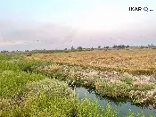 أرض للبيع في الحلة - 25000 م² / 500,000,000 IQD — صورة 3