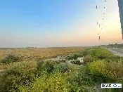 أرض للبيع في الحلة - 25000 م² / 500,000,000 IQD — صورة 2