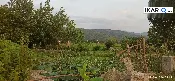 أرض للبيع في الحسين - 255 م² / 25,000,000 IQD — صورة 3