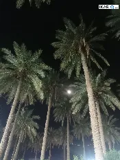 دار للبيع في الأصدقاء - 200 م² / 4,000,000,000 IQD — صورة 2
