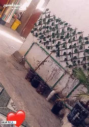 دار للبيع في المعقل - 200 م² / 5,000,000 IQD — صورة 3
