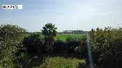 مزرعة للبيع في ابوغريب - 17500 م² / 490,000,000 IQD — صورة 3