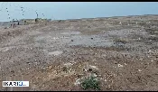 أرض للبيع في القرنة - 10000 م² / 100,000,000 IQD — صورة 2