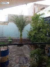 دار للبيع في النجف - 200 م² / 65,000,000 IQD — صورة 3