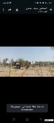 أرض للبيع في قضاء شط العرب - 1500 م² / 3,250,000 IQD — صورة 4