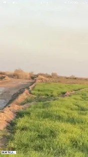 أرض للبيع في الحلة - 75000 م² / 7,000,000 IQD — صورة 4