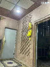 دار للبيع في الزبير - 100 م² / 10,000,000 IQD — صورة 3