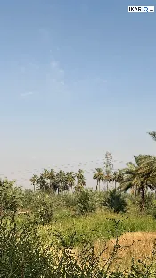أرض للبيع في واسط - 75000 م² / 3,000,000,000 IQD — صورة 2