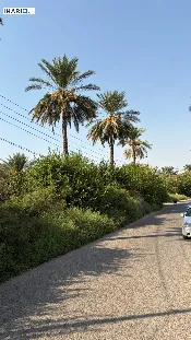 أرض للبيع في واسط - 75000 م² / 3,000,000,000 IQD — صورة 3