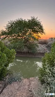مزرعة للبيع في ابي الخصيب - 212500 م² / 2,500,000,000 IQD — صورة 2