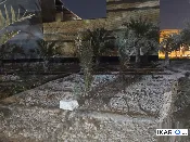 أرض للبيع في الحكيمية - 303 م² / 1,500,000 IQD — صورة 2