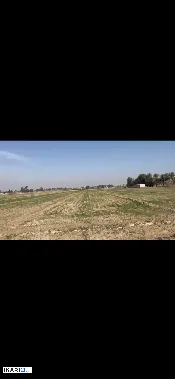 أرض للبيع في ابوغريب - 20000 م² / 45,000,000 IQD — صورة 2