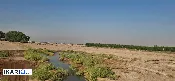 أرض للبيع في الزبير - 50000 م² / 6,000,000 IQD — صورة 2
