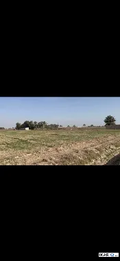 أرض للبيع في ابوغريب - 20000 م² / 45,000,000 IQD — صورة 3