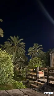 دار للبيع في الجهاد - 155 م² / 3,150,000 IQD — صورة 2