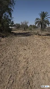 أرض للبيع في قضاء شط العرب - 1800 م² / 165,000,000 IQD — صورة 3