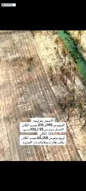 أرض للبيع في باب الهوا - 10000 م² / 26,000,000 IQD — صورة 3