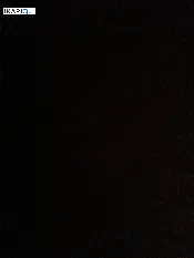 دار للبيع في القبلة - 250 م² / 320,000,000 IQD — صورة 3