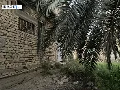 مزرعة للبيع في السراجي - 1800 م² / 60,000,000 IQD — صورة 2