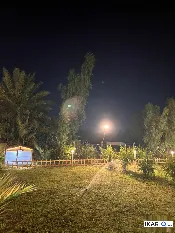 مزرعة للبيع في الدورة - 1225 م² / 180,000,000 IQD — صورة 4