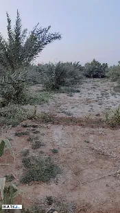 أرض للبيع في الكوفة - 5400000 م² / 80,000,000 IQD — صورة 3