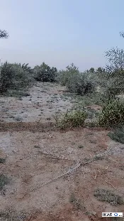 أرض للبيع في الكوفة - 5400000 م² / 80,000,000 IQD — صورة 2