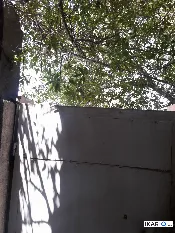 دار للبيع في الجامعة - 70 م² / 350,000,000 IQD — صورة 3