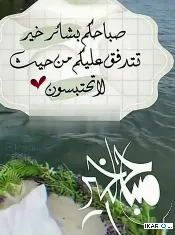 أرض للبيع في ابوغريب - 200 م² / 200,000,000 IQD — صورة 2